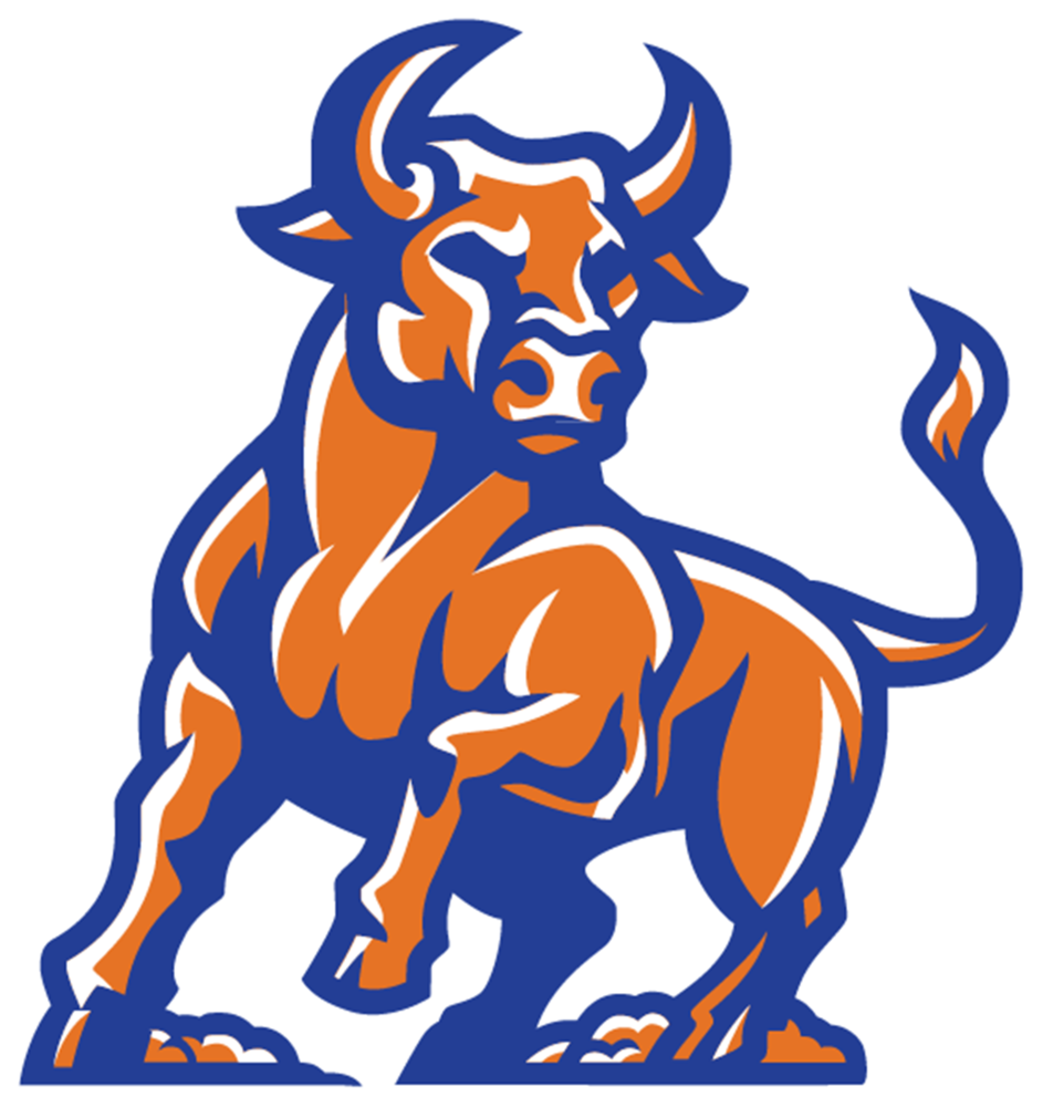 Bull Mascot