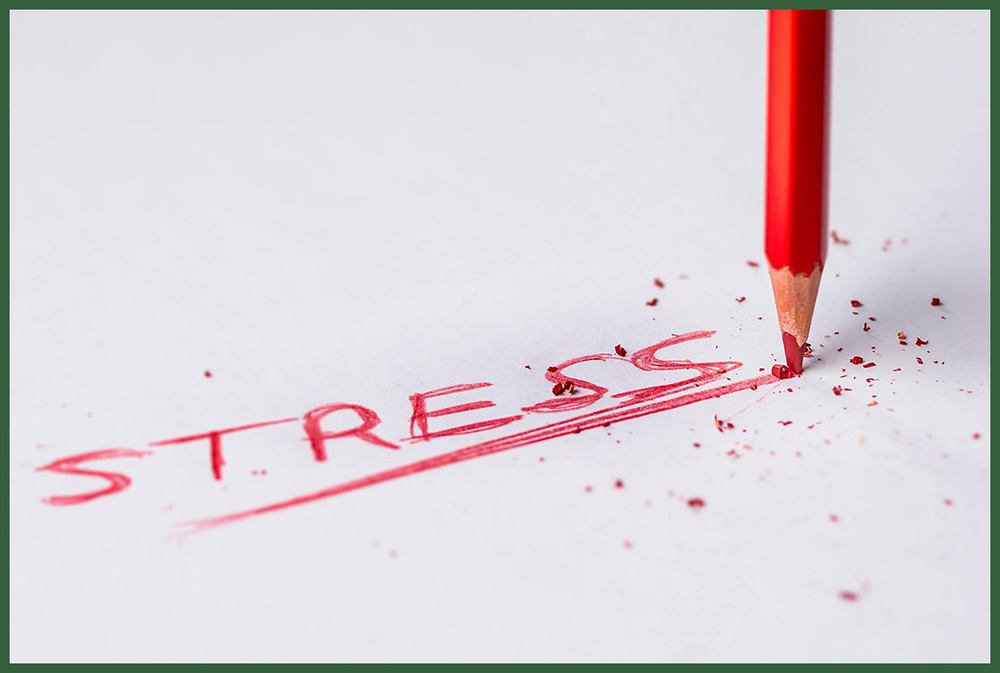 STRESS