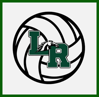 volleyball logo