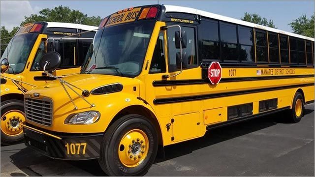 school buses