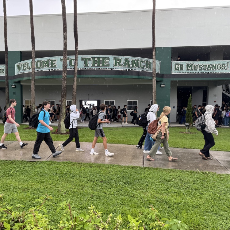 students walking through campus in a drizzly rain