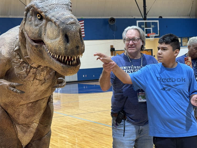 A boy carefully reaches towards an animatronic dinosaur