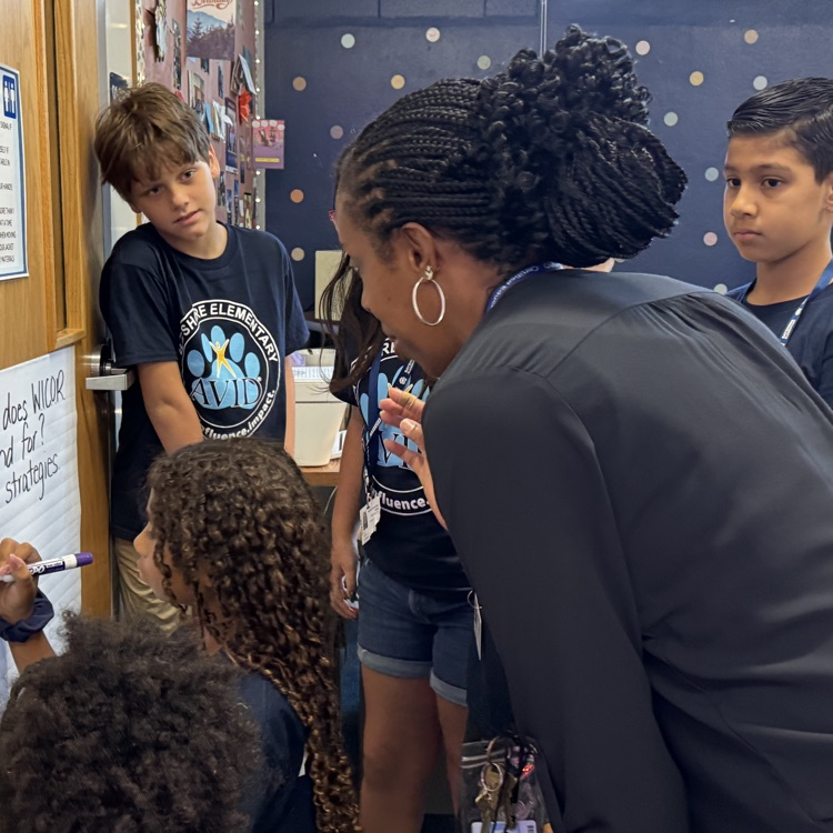 A teacher observes a classroom activity 