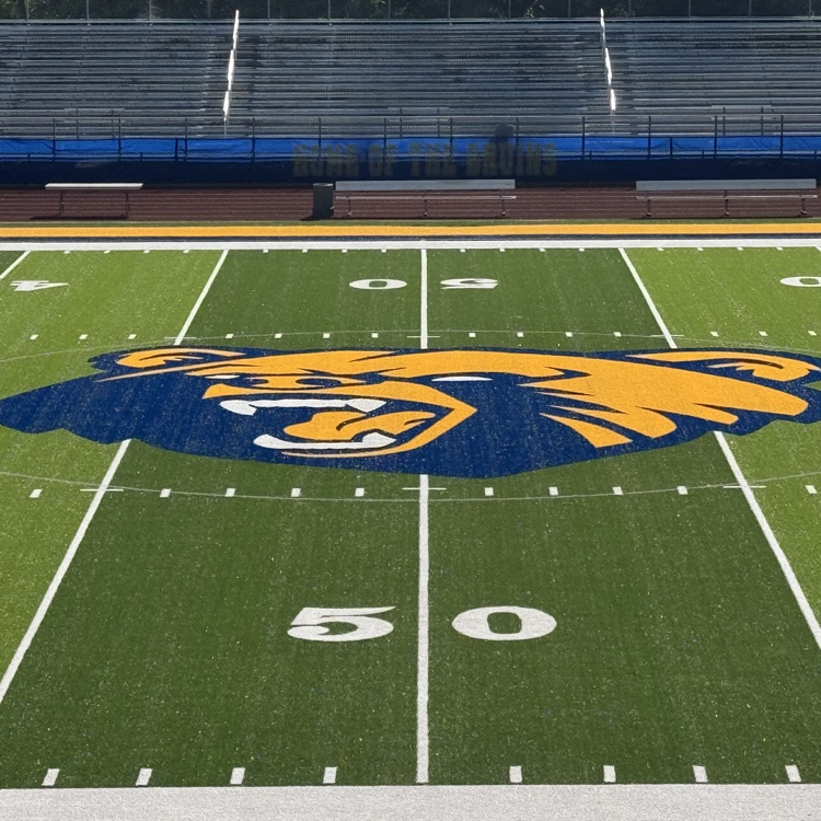 The Bayshore Bruins logo on the turf field at Bayshore high school