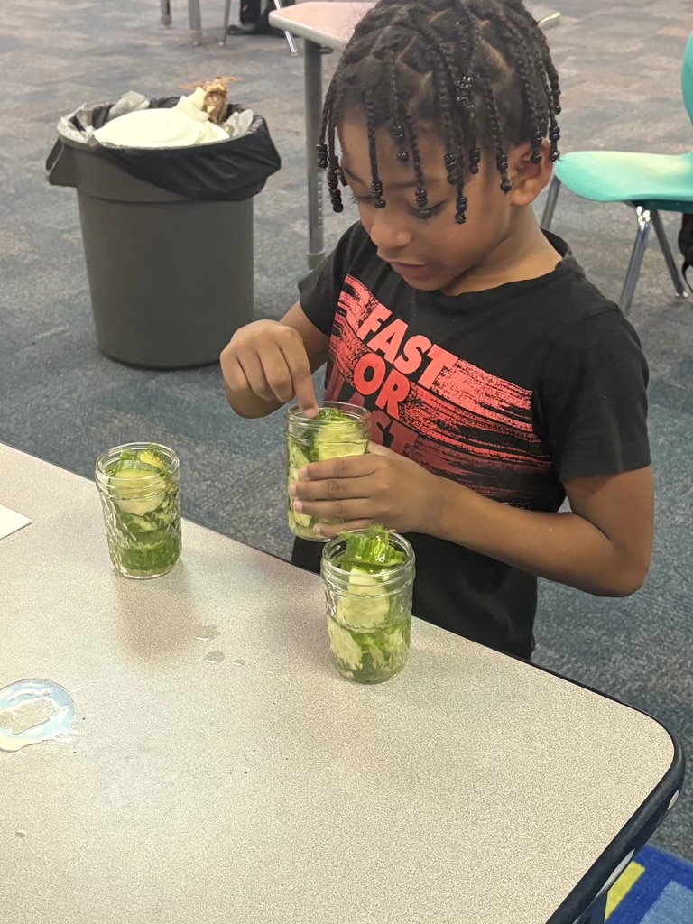 A student pushing cucumbers into a jar to make pickles.