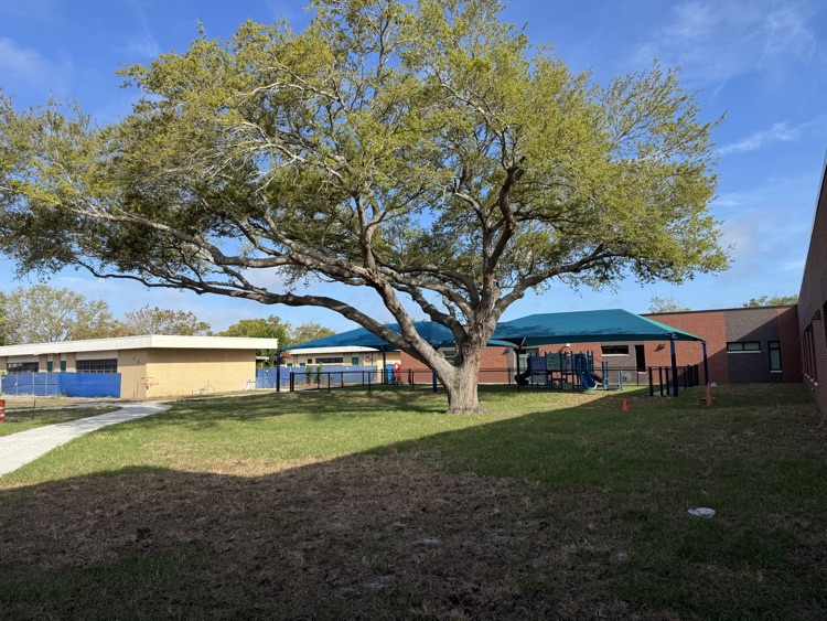 An old building on a school campus next to the brand new building with a playground and large tree in between
