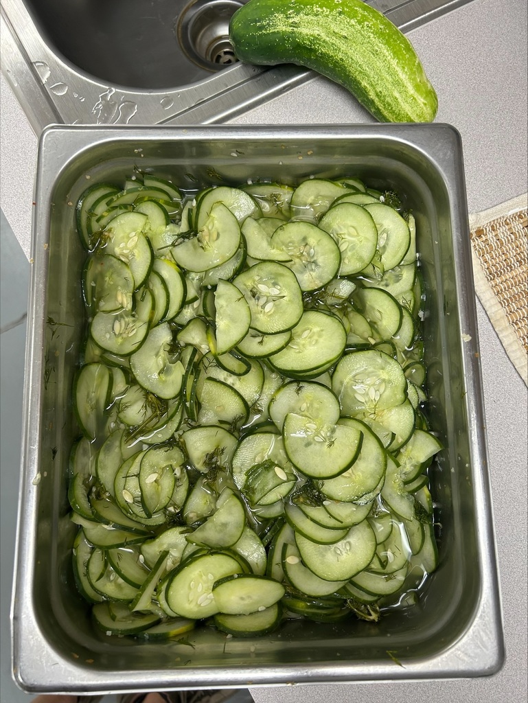 Cucumbers in a metal pan being pickled.