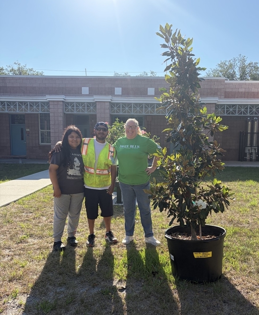 Volunteers standing next to a magnolia tree being planted at a school.