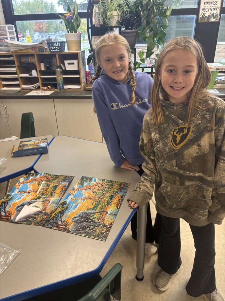 Developing teamwork skills with puzzles