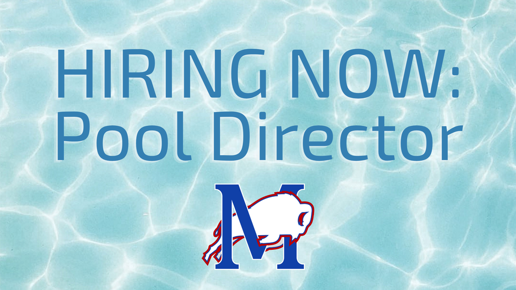 Pool Director