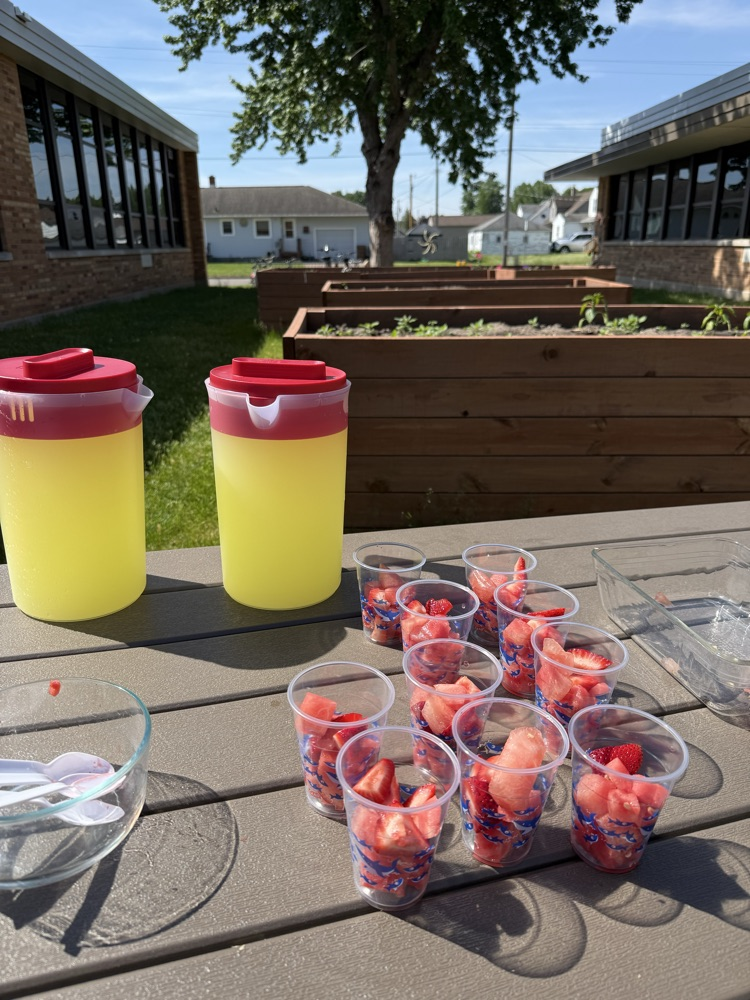 lemonade and fruit outside!