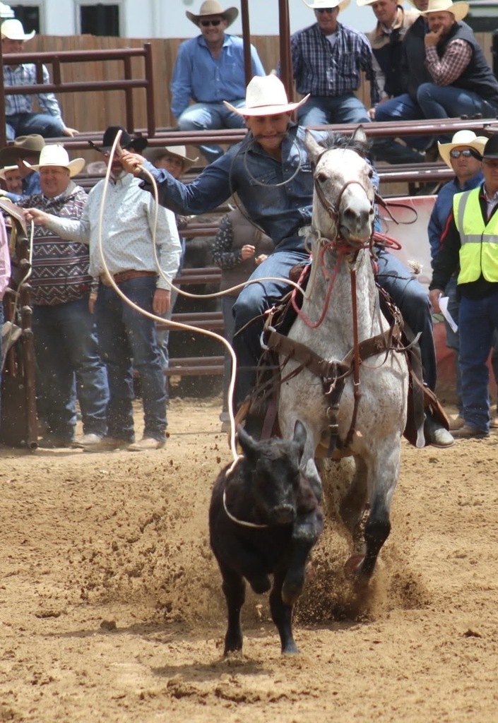 Tie Down