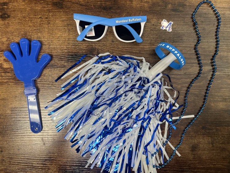 homecoming spirit gear items