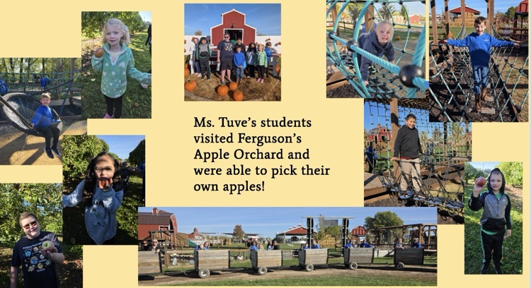 Apple orchard field trip