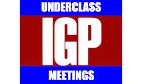 igp logo