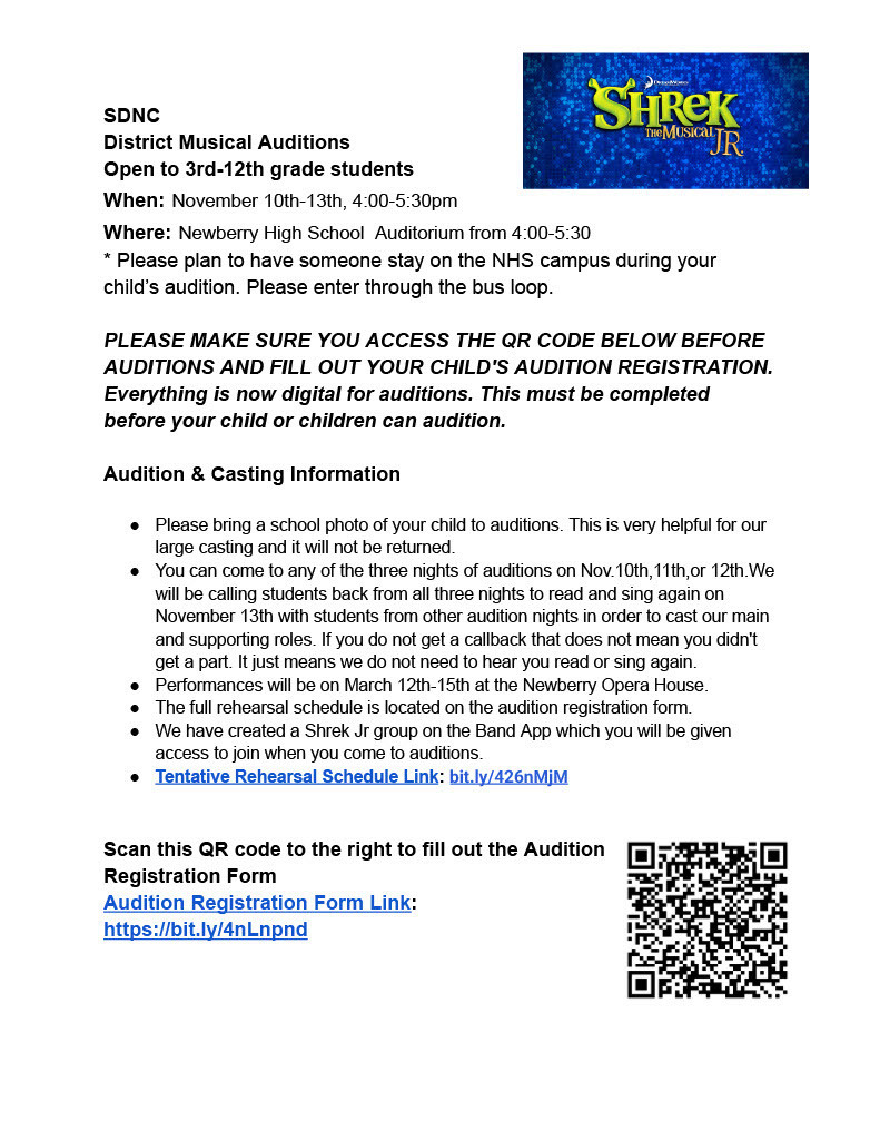 Shrek Audition Flier