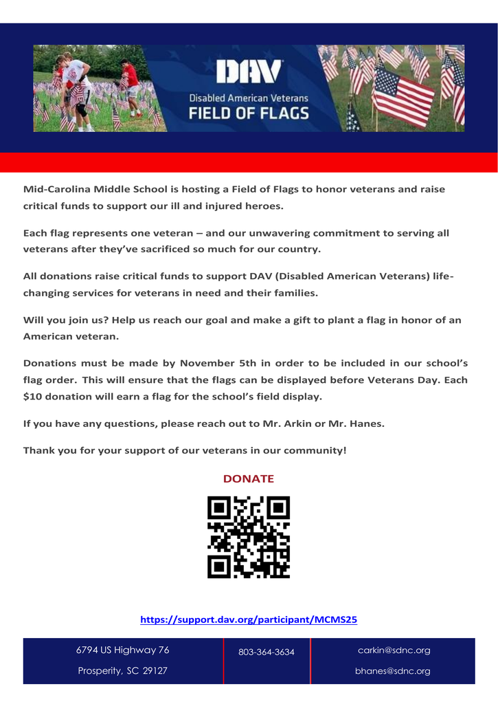Field of Flags