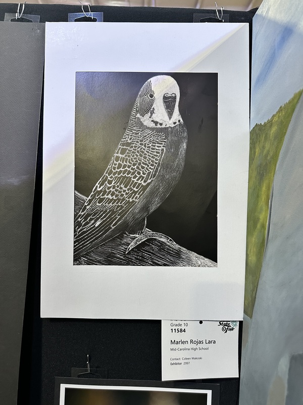 Bird Art Piece