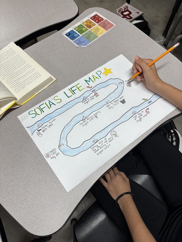 Picture of a life map that is colored in.