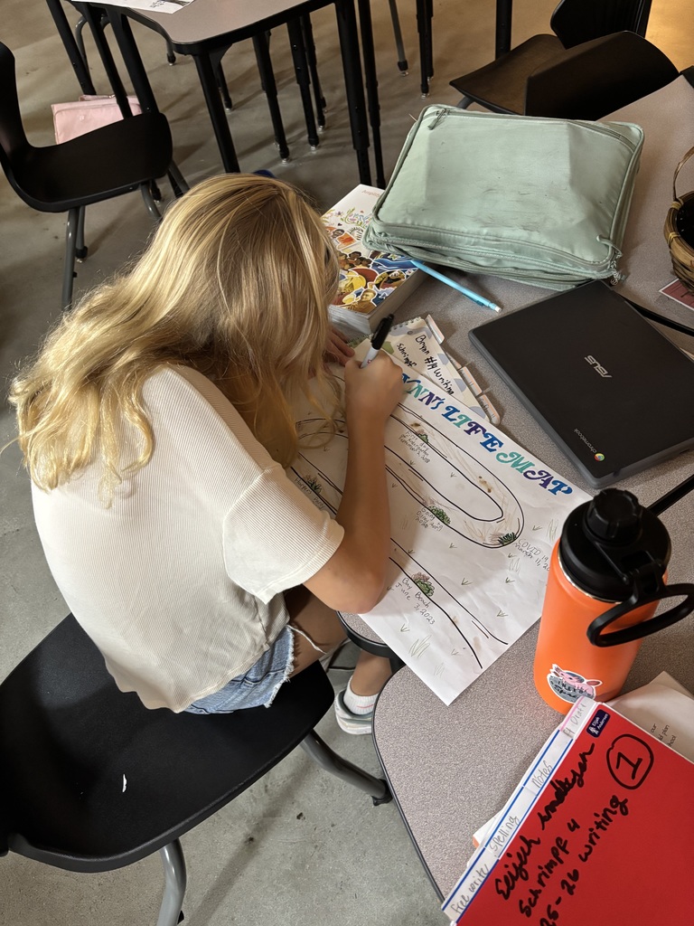 A student working on her life map at a desk.