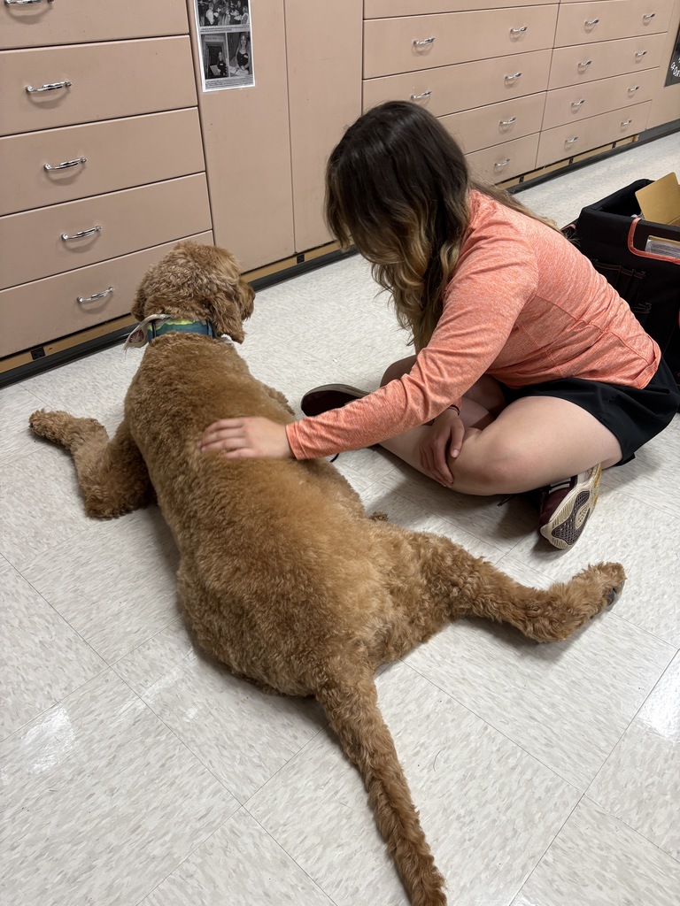 A high school student sitting on the floor, petting a dog who is laying down on the floor.