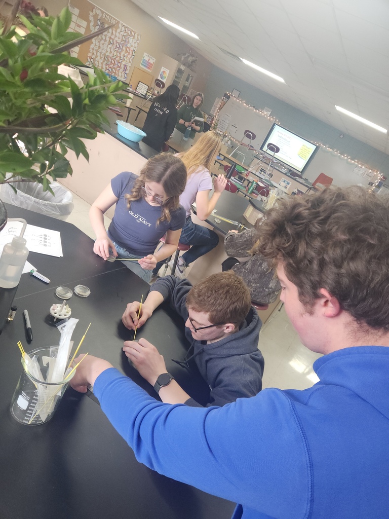 High school students working on a Biology lab.