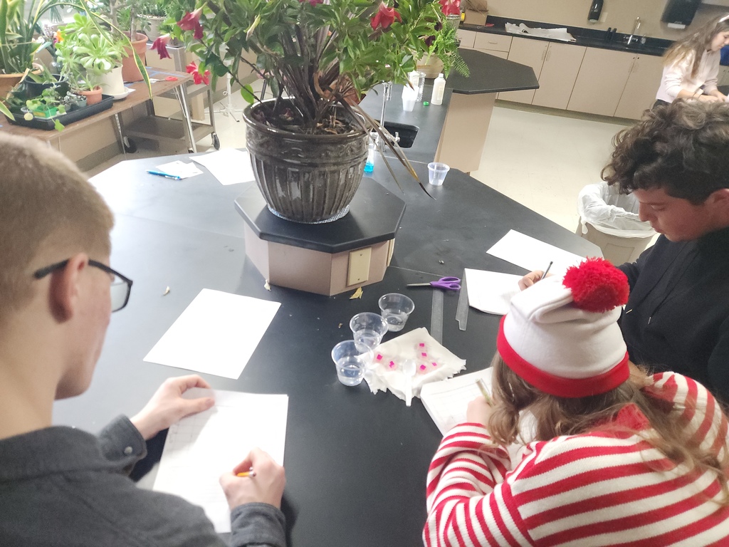 High school students working on a Biology lab.