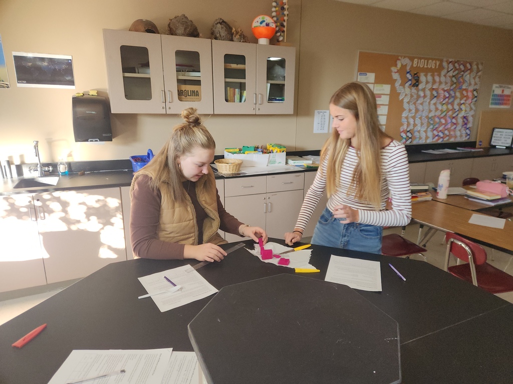 High school students working on a Biology lab.