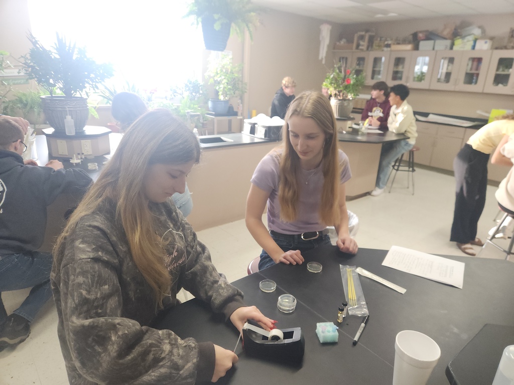 High school students working on a Biology lab.