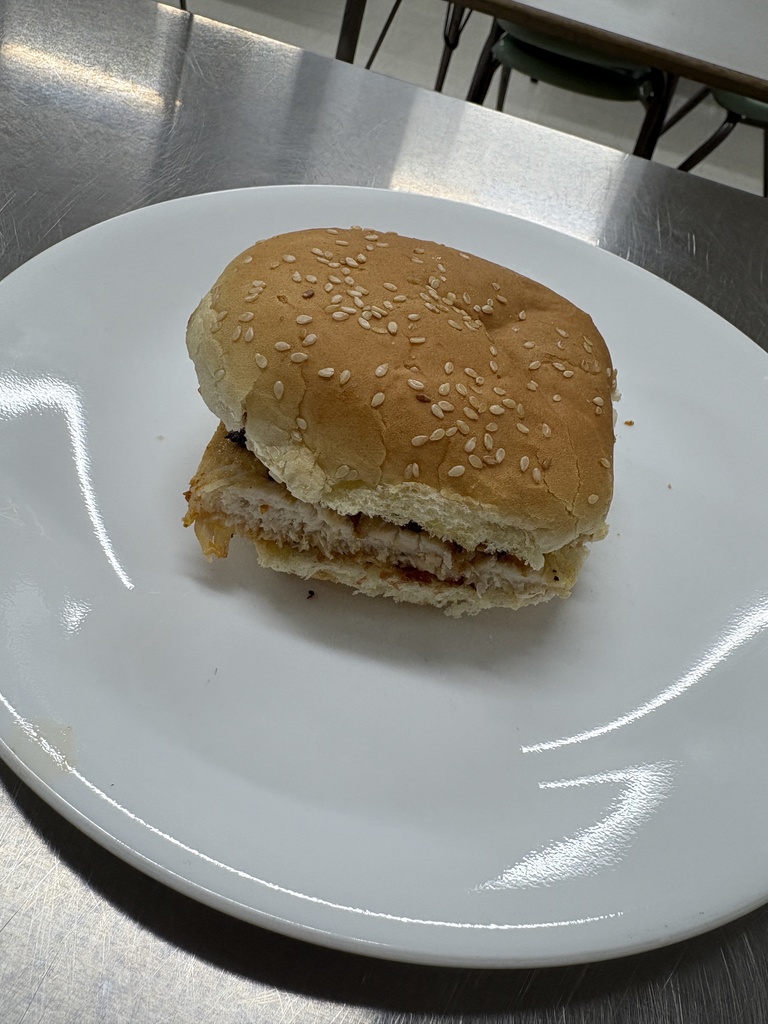 A chicken sandwich on a plate.