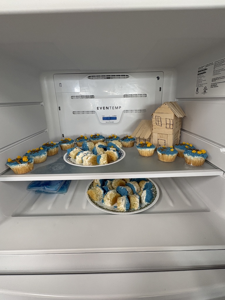 Cupcakes pictured in a freezer.