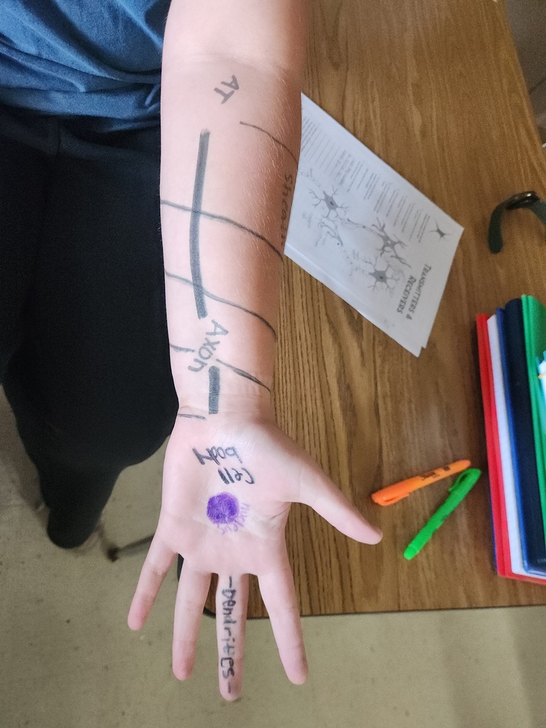 The arm of a high chool student that has markings on it from a science exploration.