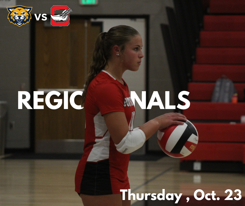 Untitled (Facebook Post)