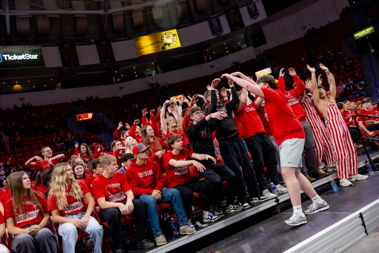 fans at state basketball