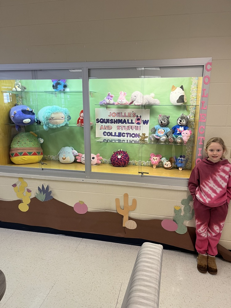 student shown with showcase full of stuffed animals