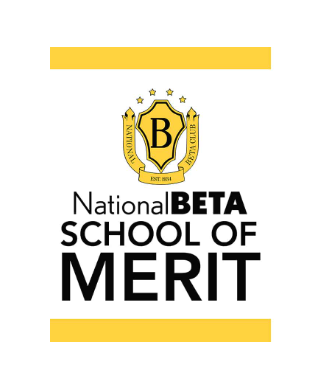 beta merit