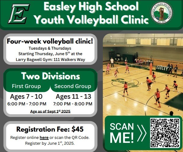 Volleyball infographic