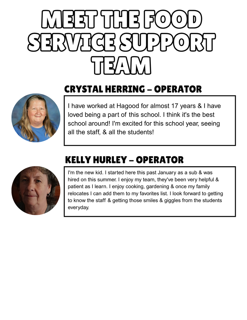 Meet The Team