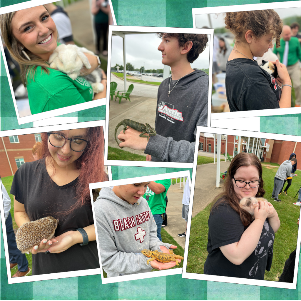 Petting Zoo photos
