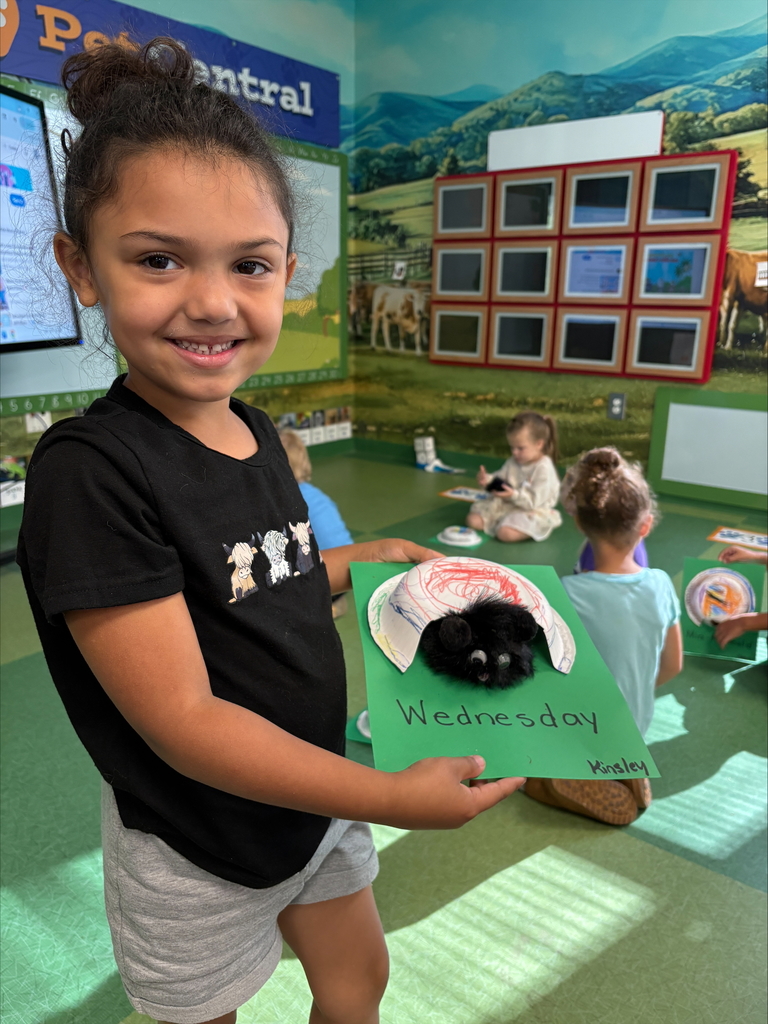 Pet Room K4