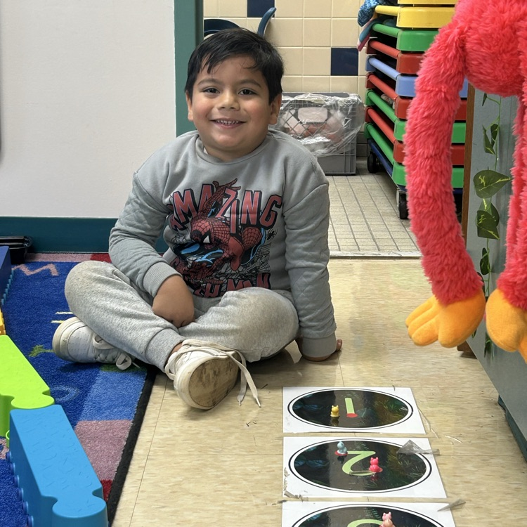 counting with animals