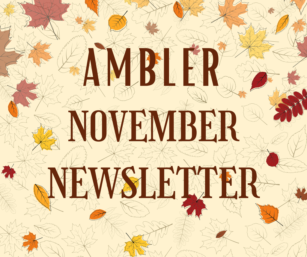 November Newsletter