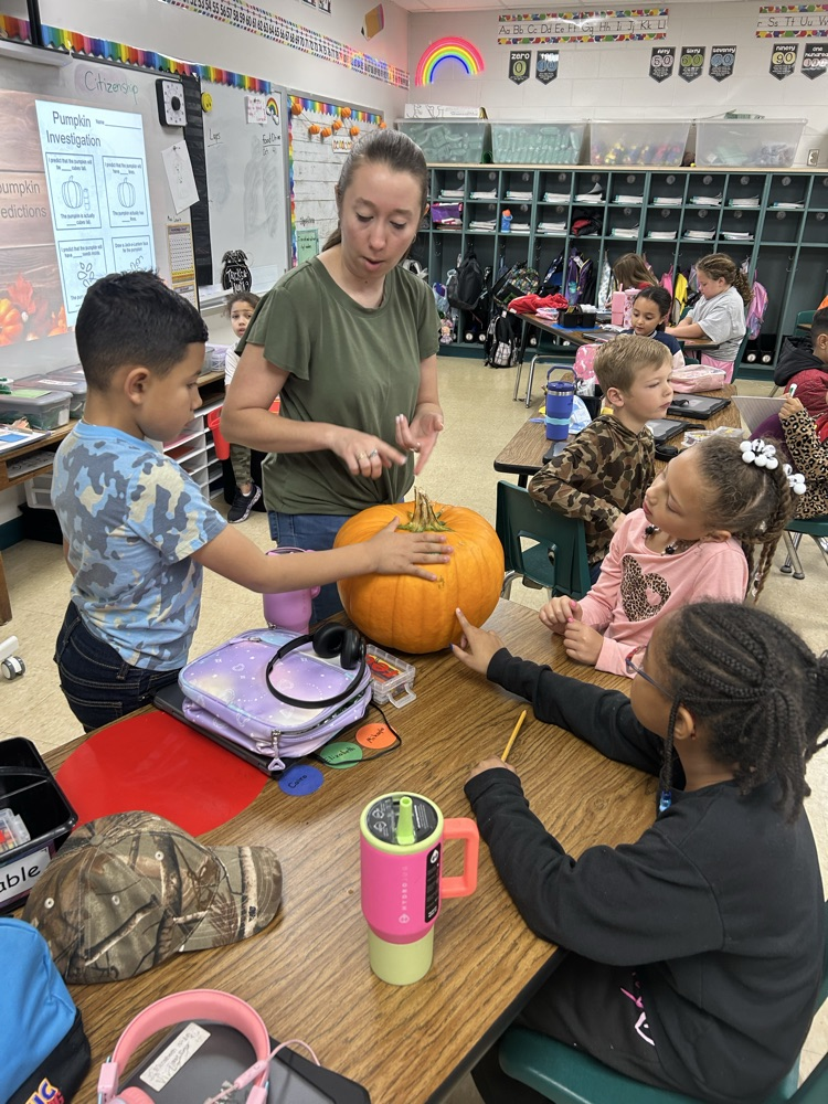 pumpkin investigations