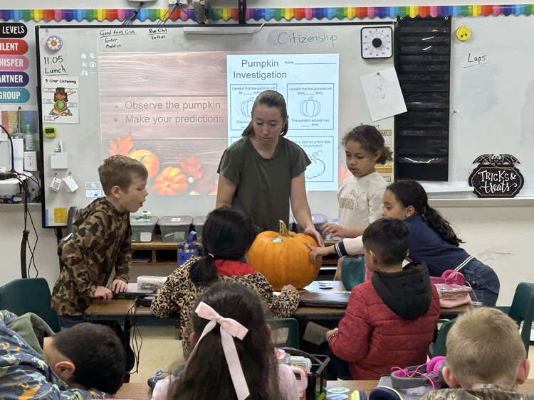 pumpkin investigation