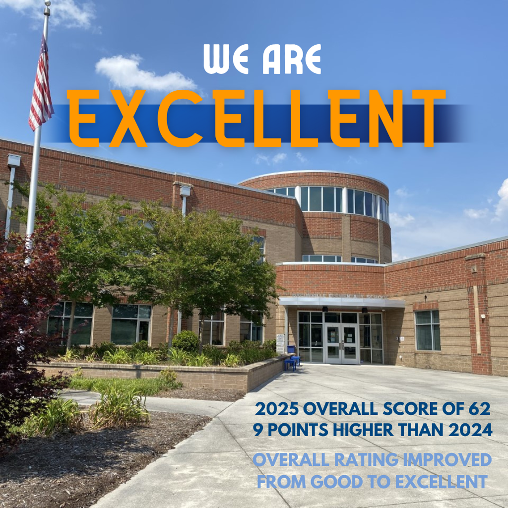 DES earns an Excellent Report Card rating