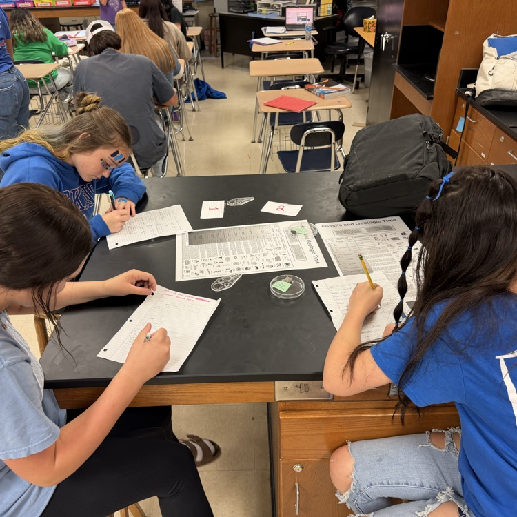 picture of students investigating in science