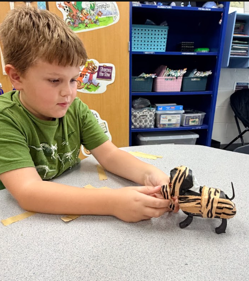 Student learning about the purpose of animal fur and covering his robotic dog with pretend fur