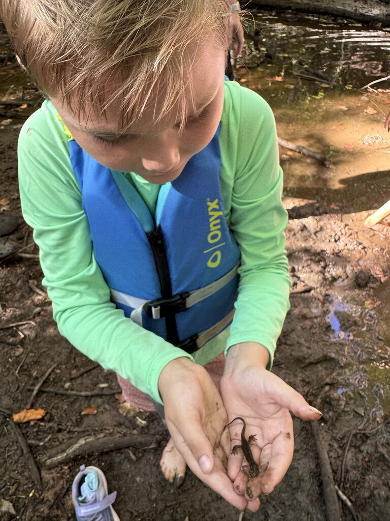 student holds a salamander 
