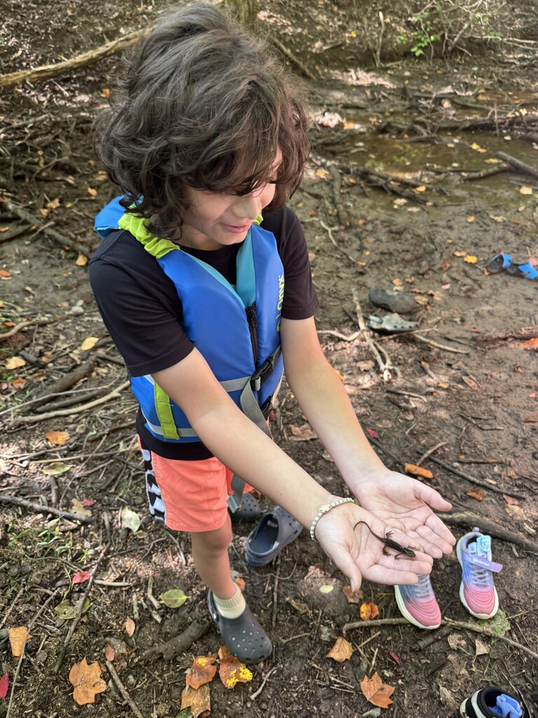 student hold a salamander 