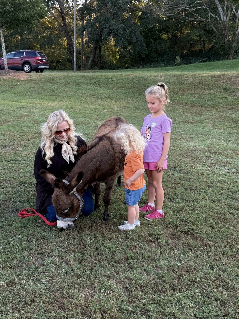 Families enjoying the petting zoo at the fall festival.